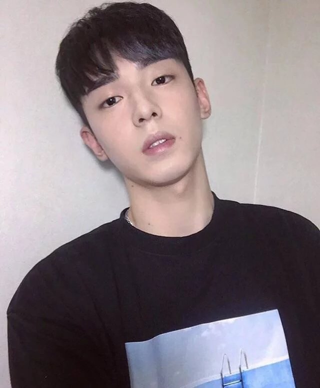 翁浩琴蓓