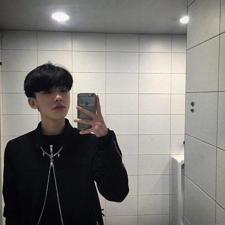 阎爽全新