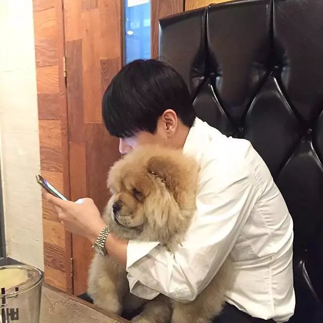 皮慧融青