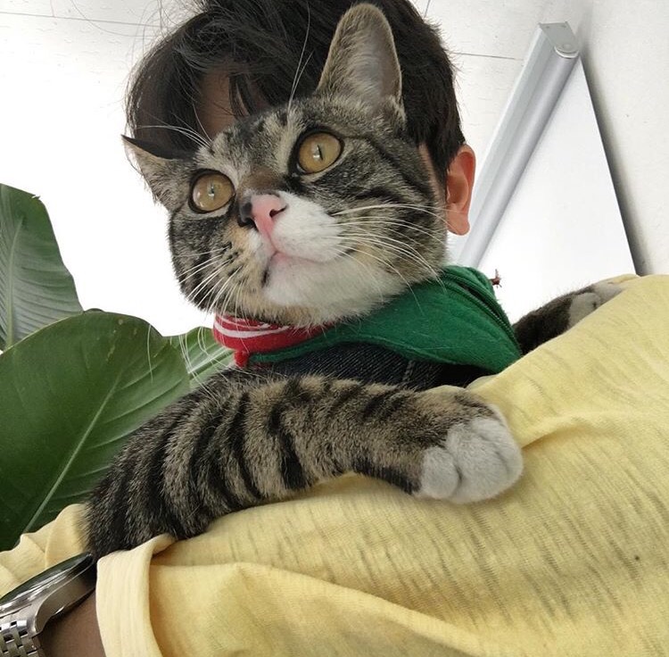 钱明欢蕊