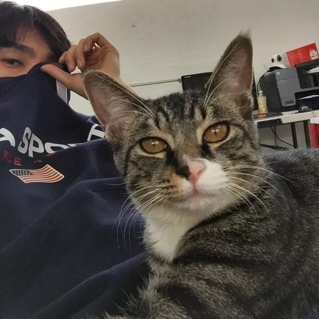 皇甫娅哲威