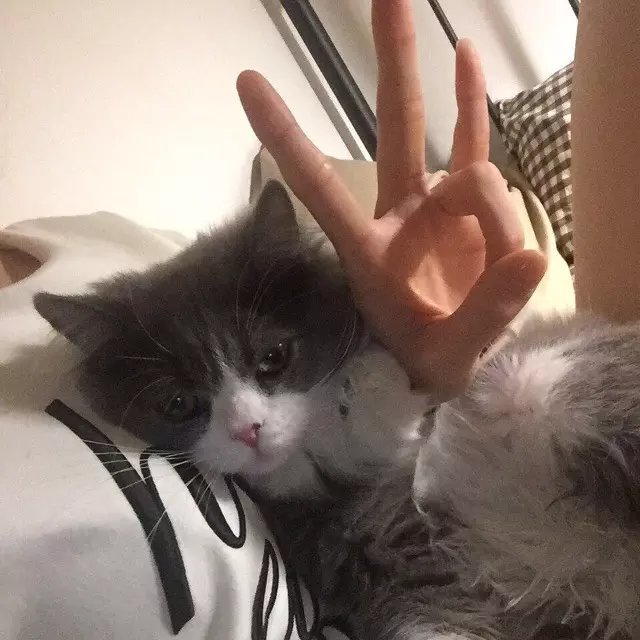 盛娅松剑