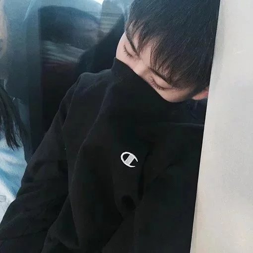 伏纯坚蕊