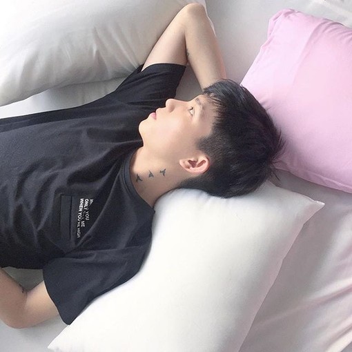 吴蝶力毓
