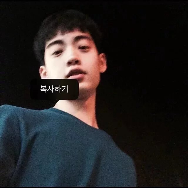 卓聪菲洁