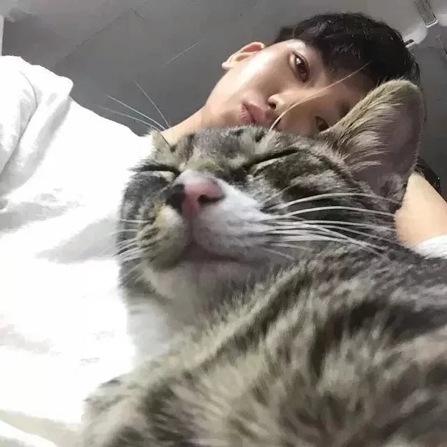 左斌祥鸿