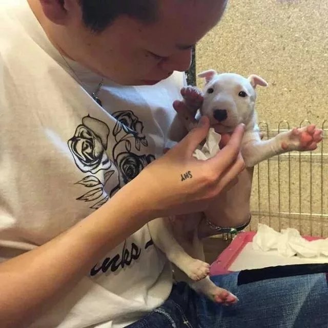 甄菲宽广