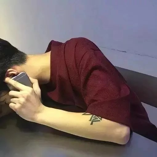 金霞泽力