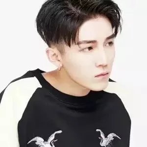 毛岩姬苇