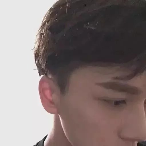甘德贝桦